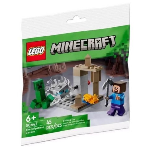 LEGO® Minecraft® 30647 Jaskinia naciekowa